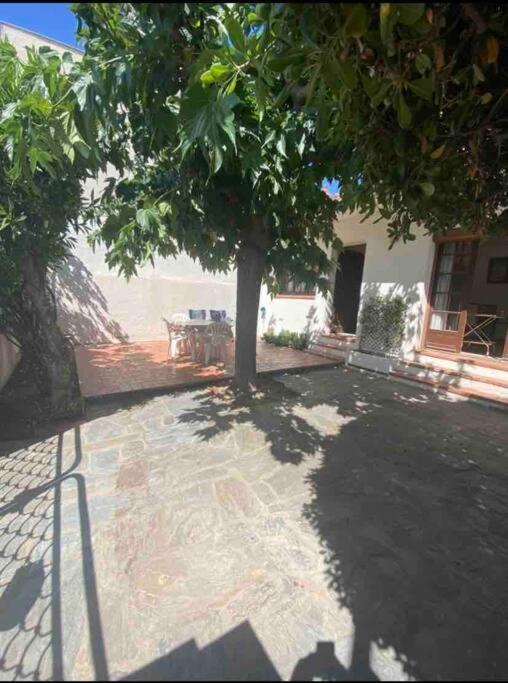Maison Proche Plage Canet-en-Roussillon Exterior photo